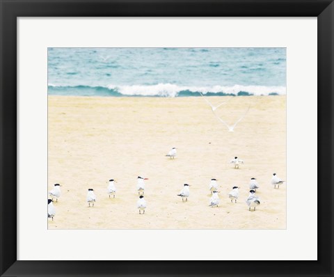 Framed Relaxed Seagulls Print