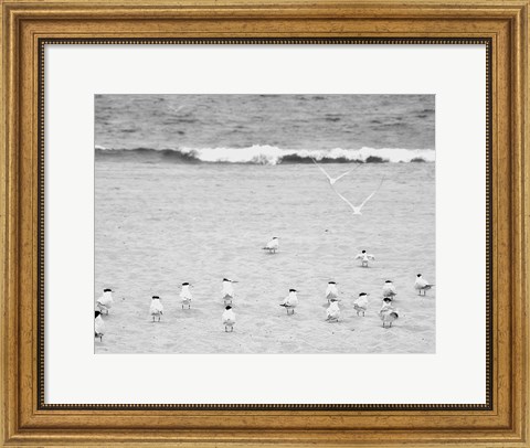 Framed Coastline Flock Print