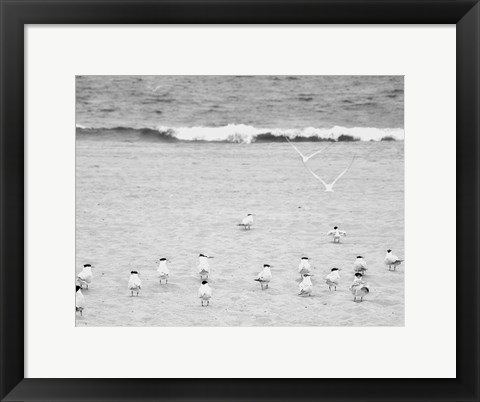 Framed Coastline Flock Print