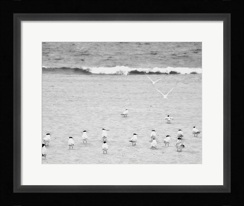 Framed Coastline Flock Print