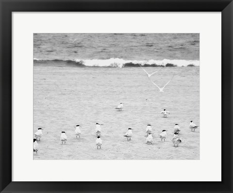 Framed Coastline Flock Print