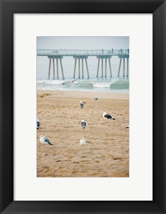 Framed Seagull Coast Print