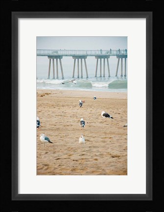 Framed Seagull Coast Print