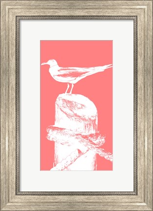 Framed Perching Seabird I Print