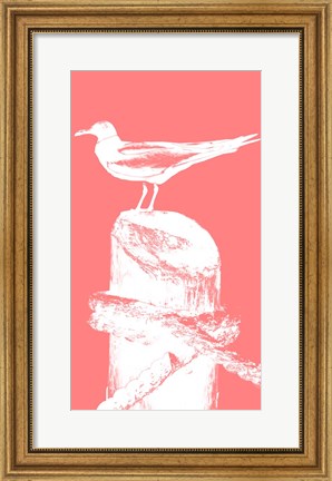 Framed Perching Seabird I Print