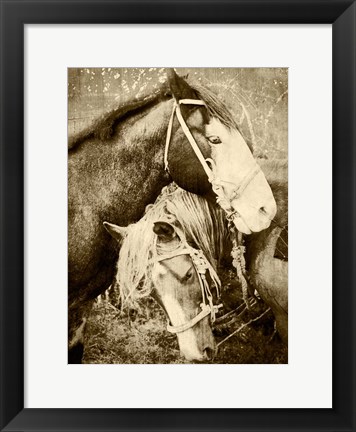 Framed Vintage Horses Print