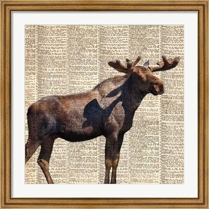 Framed Country Moose II Print