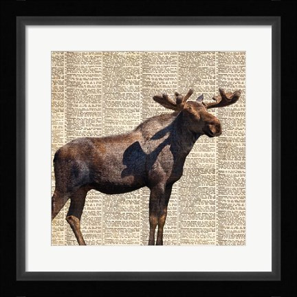 Framed Country Moose II Print