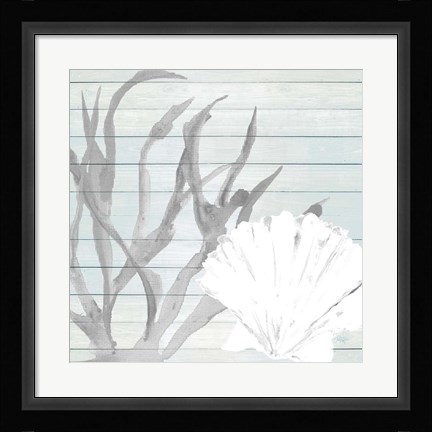 Framed Seashell on Blue Wood Print
