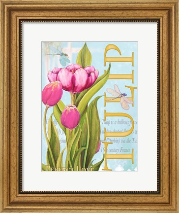 Framed Elegant Tulip II Print