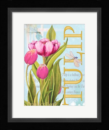 Framed Elegant Tulip II Print