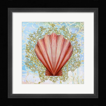 Framed Shell Medley I Print