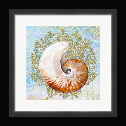 Framed Shell Medley III Print