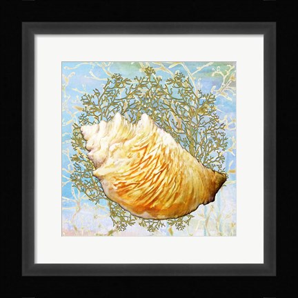 Framed Shell Medley IV Print