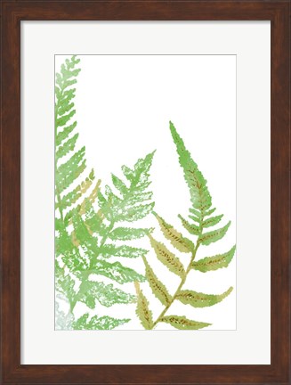 Framed Tossed Ferns I Print