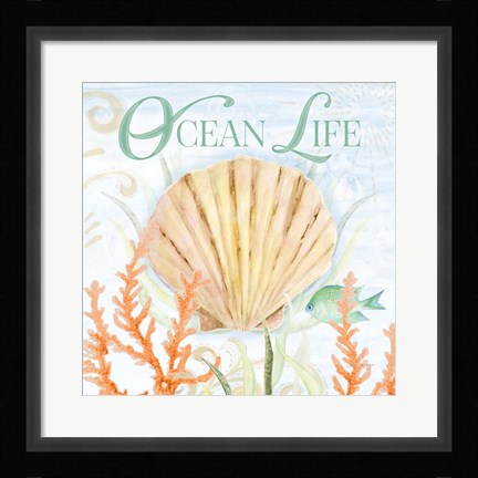 Framed Ocean Life Print