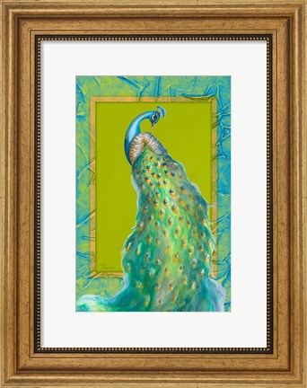 Framed Peacock Daze I Print