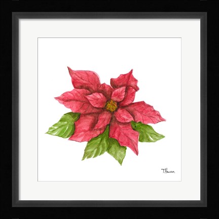 Framed Poinsettia I Print