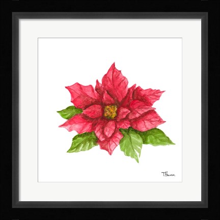 Framed Poinsettia II Print