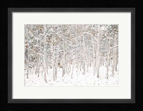 Framed White Snow Wonderland Print