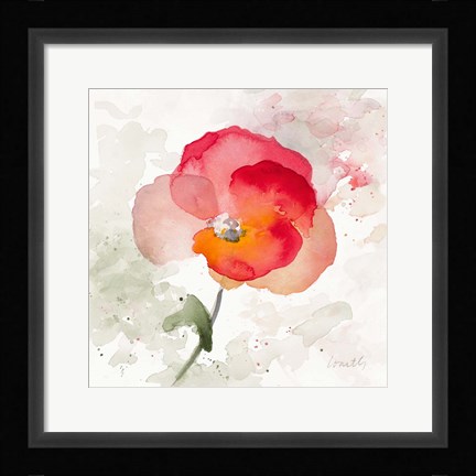 Framed Translucent Poppy I Print