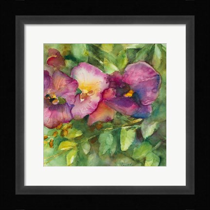 Framed Orchid Garden Print