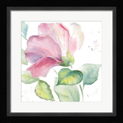 Framed Fragrant Hibiscus I Print
