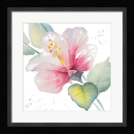 Framed Fragrant Hibiscus II Print