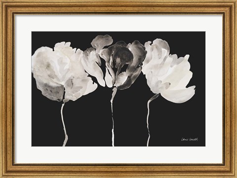 Framed Trio in Light on Black Print