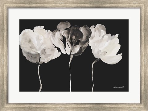Framed Trio in Light on Black Print