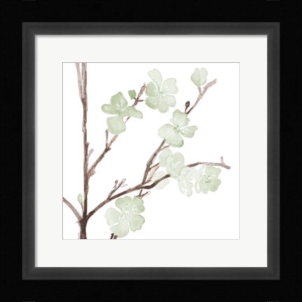 Framed Mint Bloom Stems Print