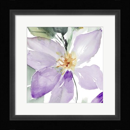Framed Clematis in Purple Shades I Print