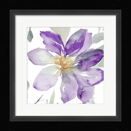 Framed Clematis in Purple Shades II Print