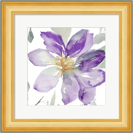 Framed Clematis in Purple Shades II Print