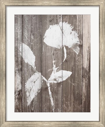 Framed Brown Floral Whisper on Wood I Print