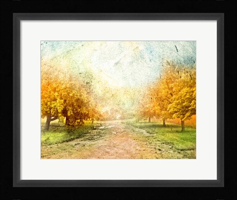 Framed Oak Path Print