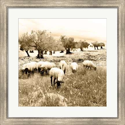 Framed Out In The Fields Print