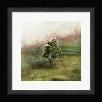Framed Lone Oak Print