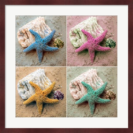 Framed Colorful Starfish Print