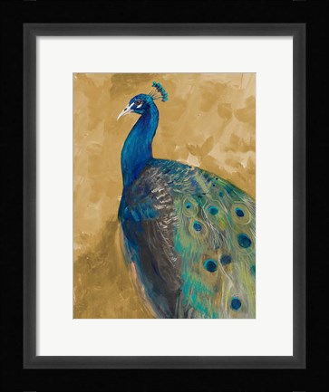 Framed Royal Plume on Gold Print