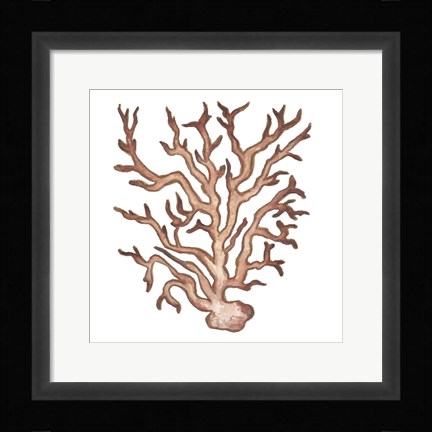 Framed Coastal Icon Coral III Print
