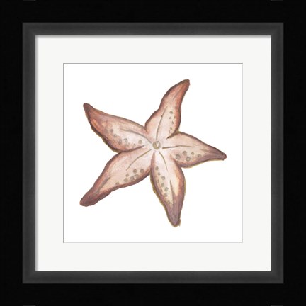 Framed Coastal Icon Coral VII Print