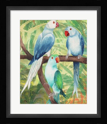 Framed Tropical Birds I Print