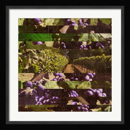 Framed Vinecraft Horizons I Print