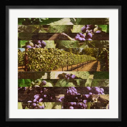Framed Vinecraft Horizons II Print