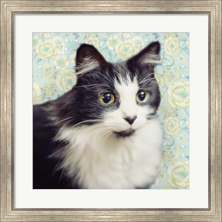 Framed Cat on Paisley Print