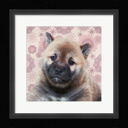 Framed Shiba Inu Portrait Print