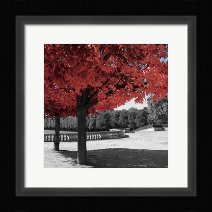 Framed Garden Walk Print