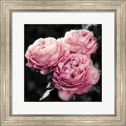 Framed Pink Florals in Noir Print