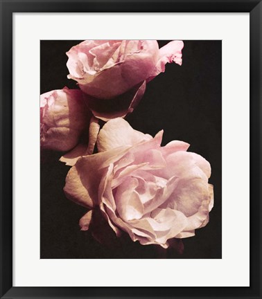 Framed Solitary Bouquet II Print